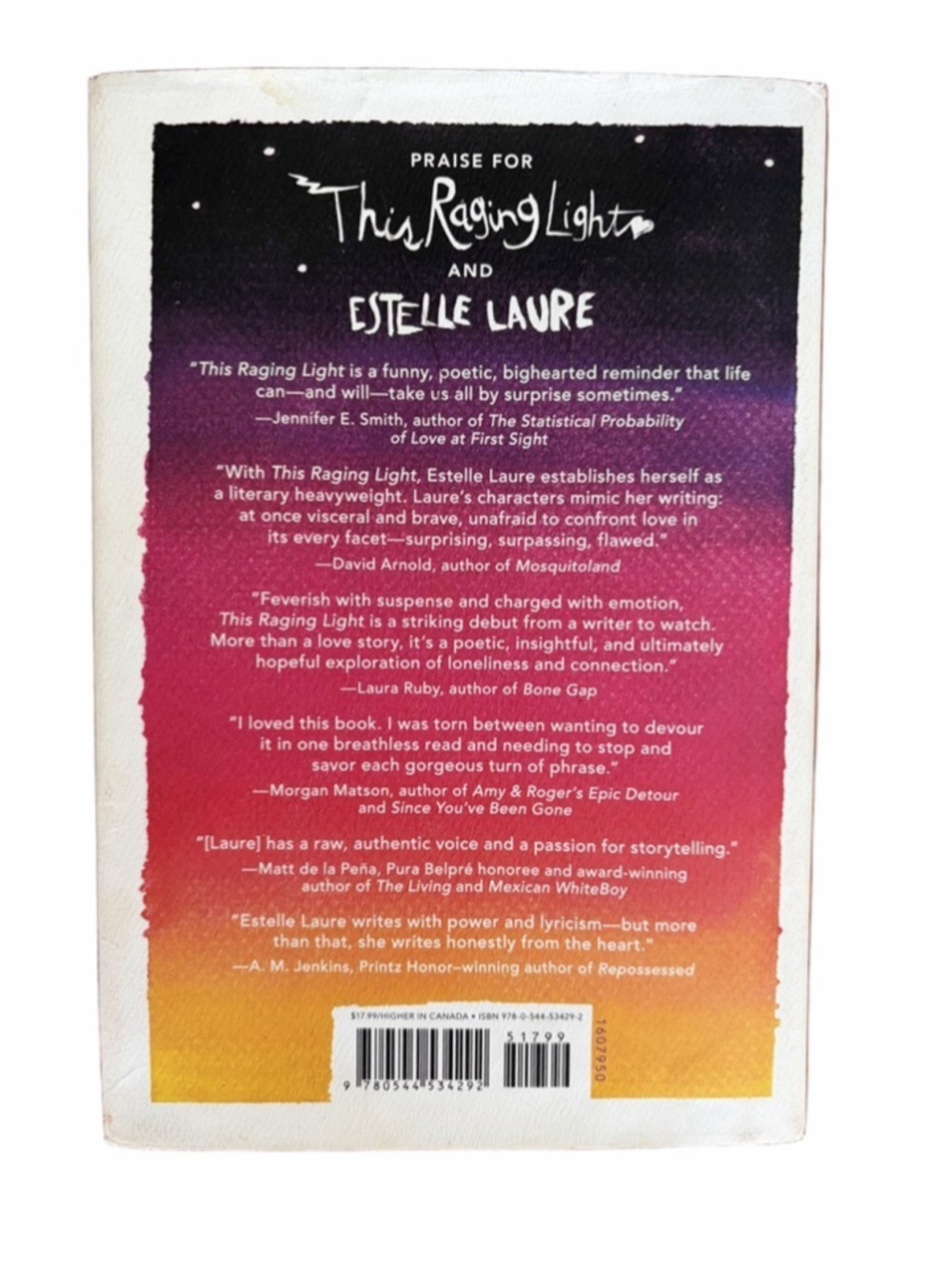 This Raging Light Book by Estelle Laure - Picture 2 of 2